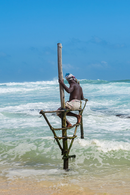 29445688134_66219cf4ae_z