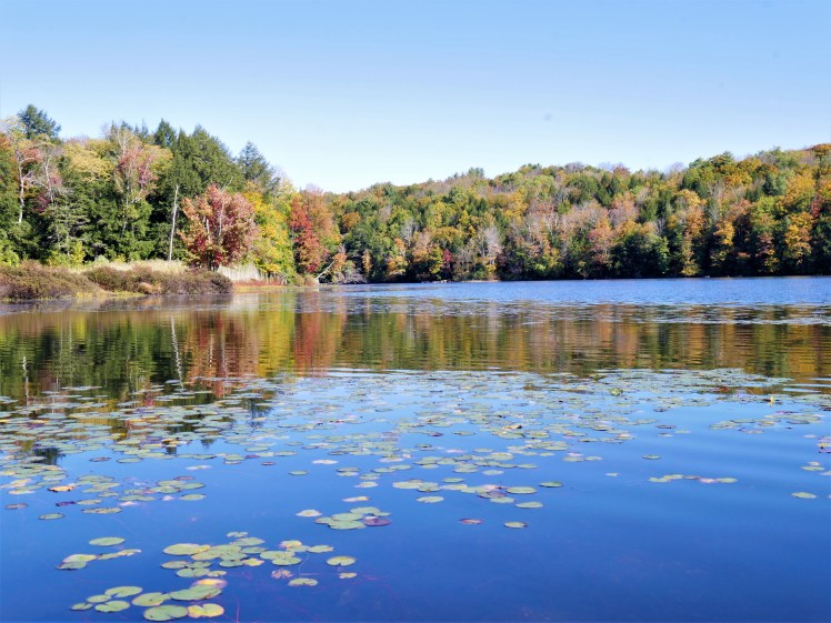 New England in the Fall